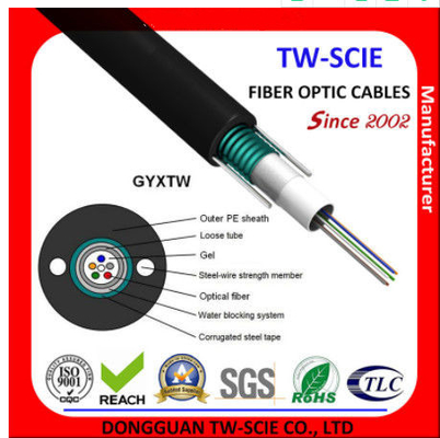 G652D Single Mode Loose Tube China Fiber Optic Cable GYXTW Untuk Outdoor Aerial