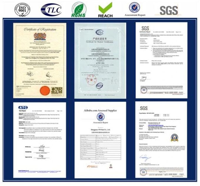 DONGGUAN TW-SCIE CO., LTD. Profil perusahaan